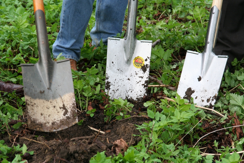 pepiniere-BONSON-min_work-lawn-flower-tool-green-backyard-1103633-pxhere.com